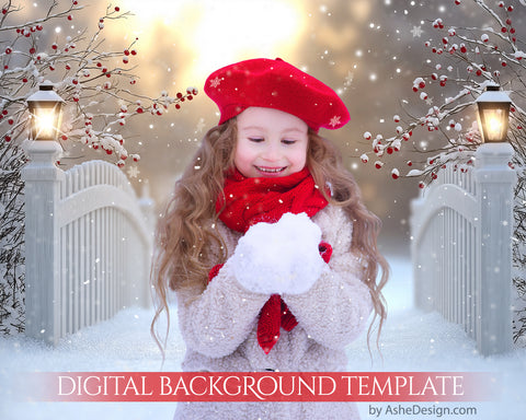 Digital Backdrop Set - Winterberry