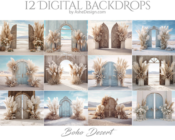 Fine Art Digital Photography Backdrops - Boho Desert