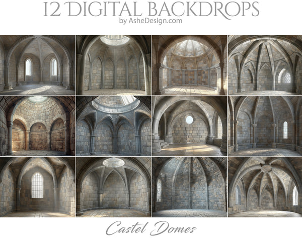 Digital Photography Backdrops - Castle Domes