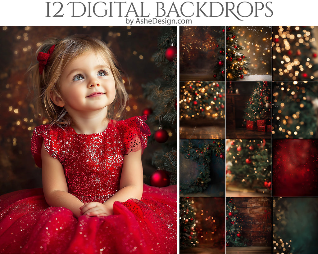 Digital Photography Backdrops - Christmastime Bokeh