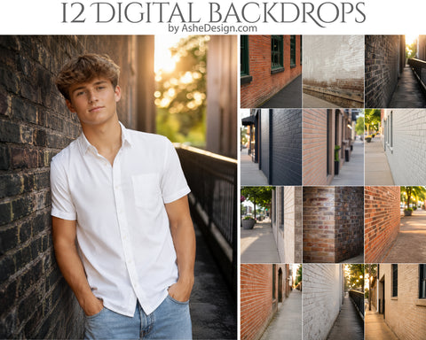 Digital Photography Backdrops - Downtown Brick Walls
