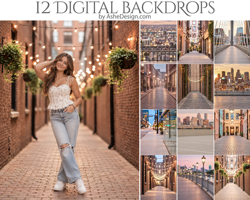 Digital Photography Backdrops - Downtown Bokeh