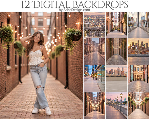 Digital Photography Backdrops - Downtown Bokeh