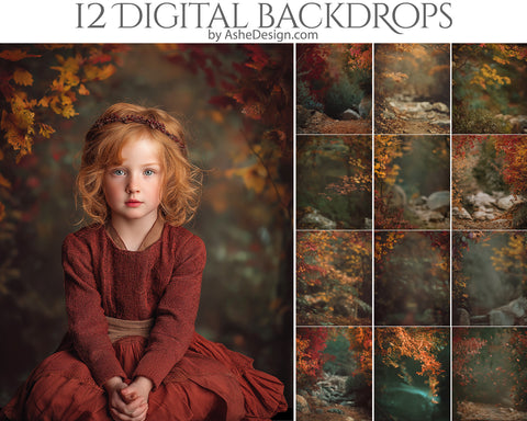 Digital Photography Backdrops - Fall Forests