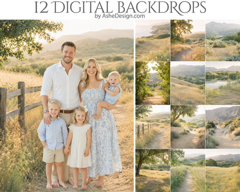 Digital Photography Backdrops - Summer Golden Fields