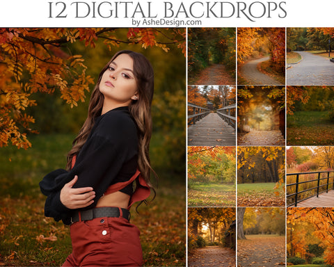 Digital Photography Backdrops - The Golden Season