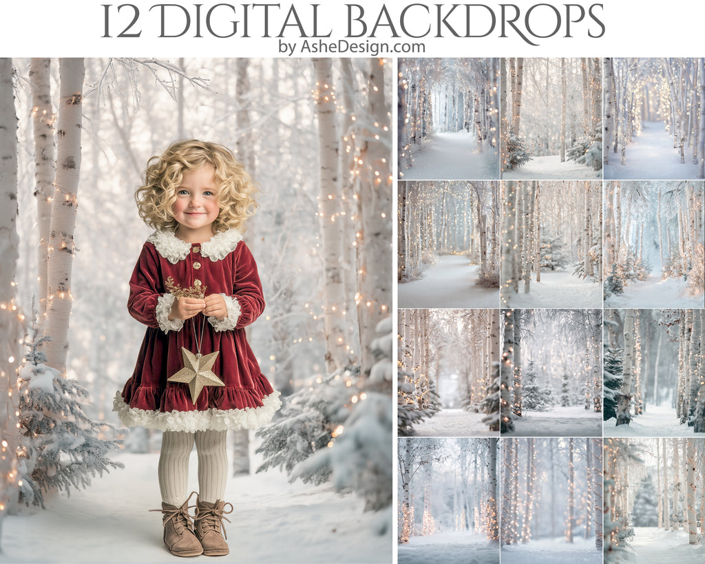 Digital Photography Backdrops - Winter Forests
