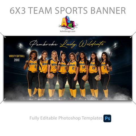 6x3 Team Sports Banner - Reflection Softball