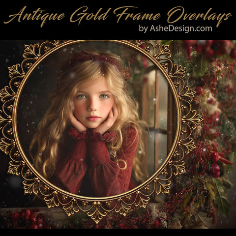 Designer Gems - Antique Gold Frame Overlays
