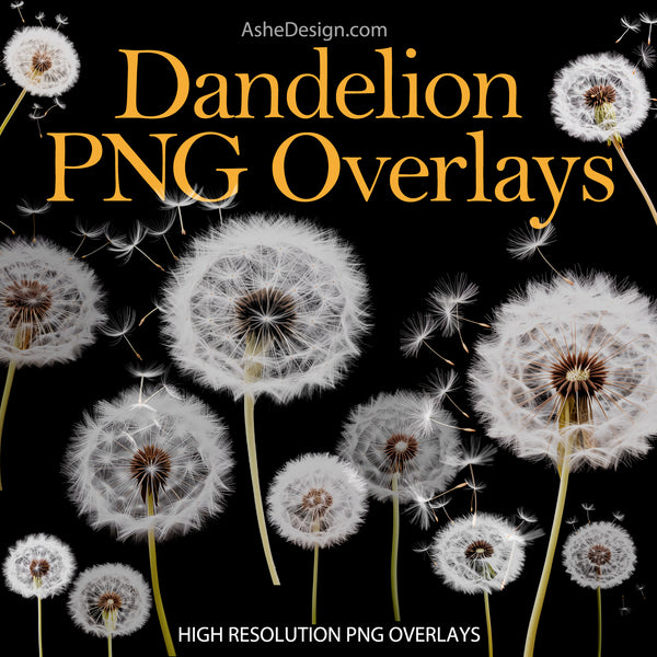 Designer Gems - Dandelion Overlays