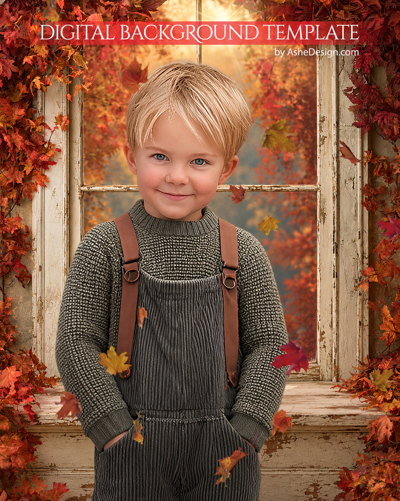 Digital Backdrop Set - Autumn Window