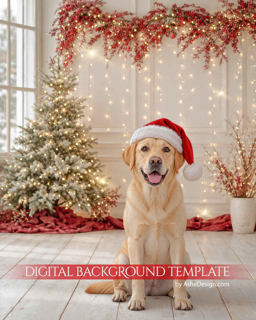 Digital Backdrop Set - Berry and Bright