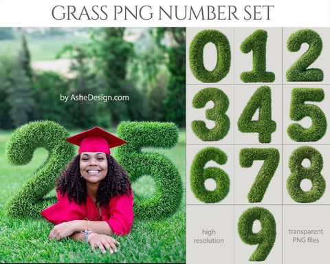 PNG Number Overlays - Grass