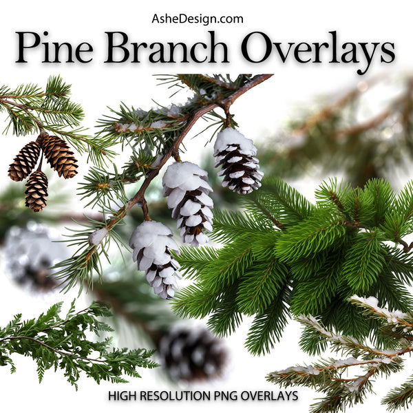 pine branch-overlays, pine branch overlays, tree branch overlays, tree branch-overlays, tree-branch overlay, branch-overlays, branch overlays, xmas pine overlays, christmas branch PNG, branch PNG, tree branch PNG, tree-branch PNG, xmas branch PNG