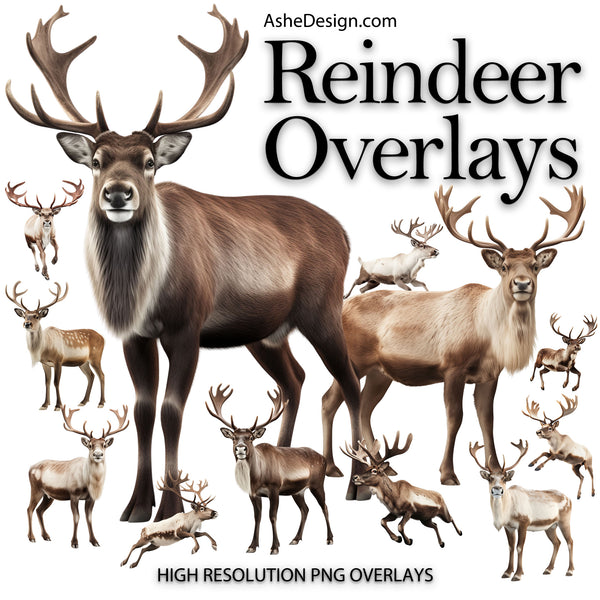 Designer Gems - Reindeer Overlays Set 2