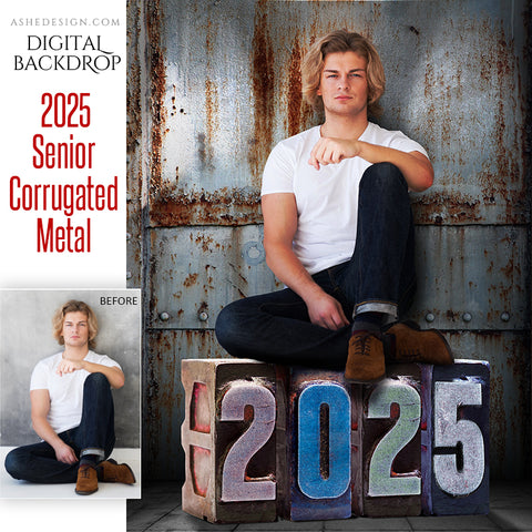 Digital Props - 16x20 Backdrops - Corrugated Metal - 2025 Senior