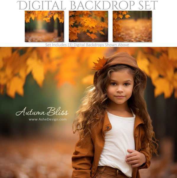 Digital Backdrop Set - Autumn Bliss