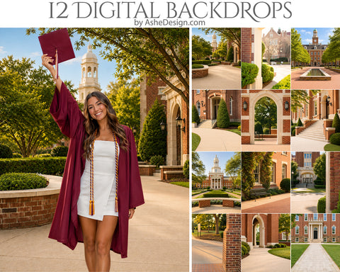 Digital Photography Backdrops - College Grounds