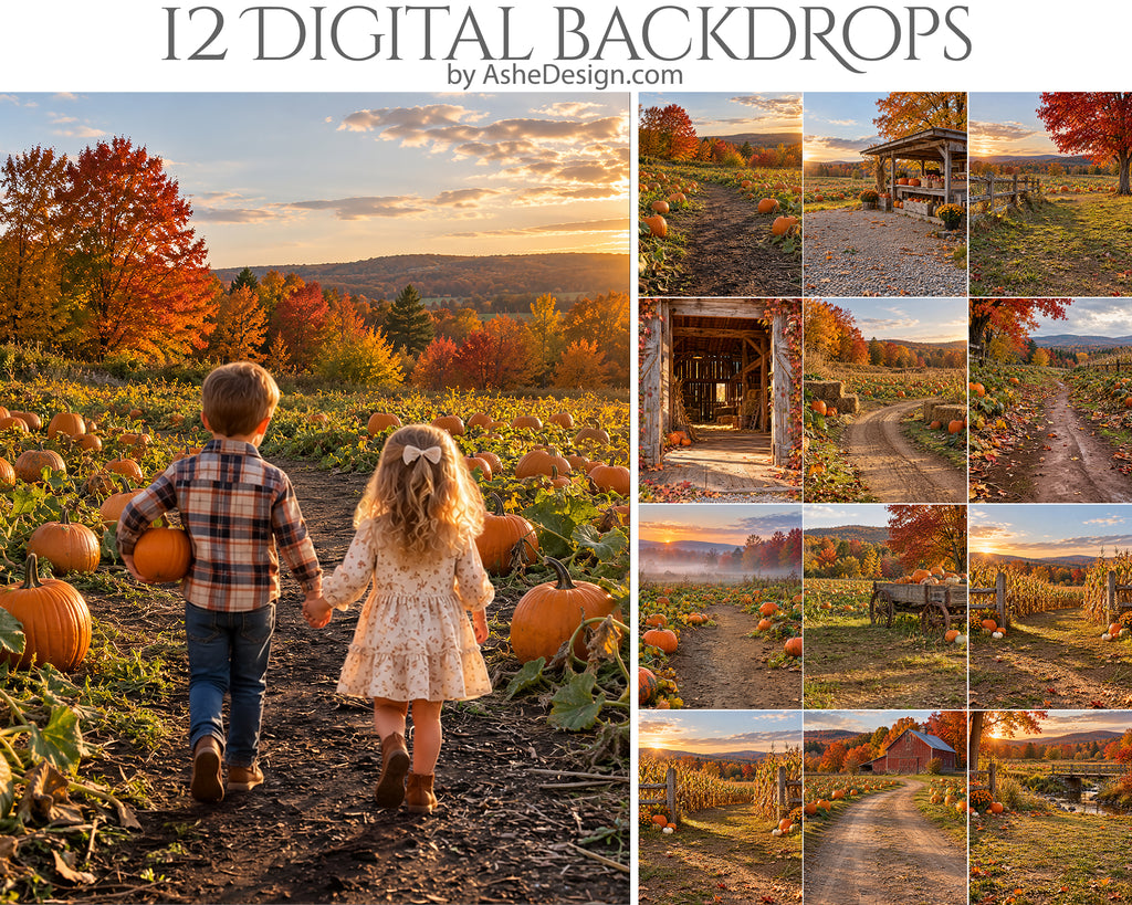 Digital Photography Backdrops - Golden Harvest