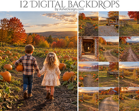 Digital Photography Backdrops - Golden Harvest