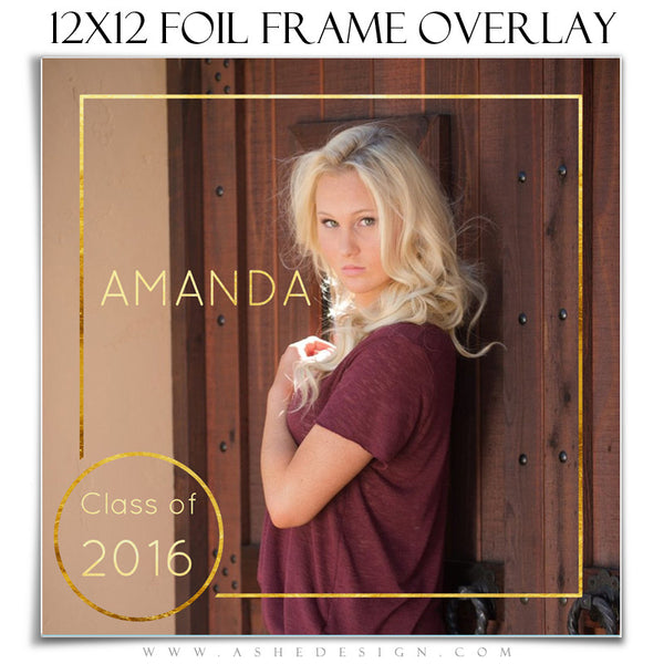 Customizable Designer Gems | Gold Foil Frame Overlay 12x12