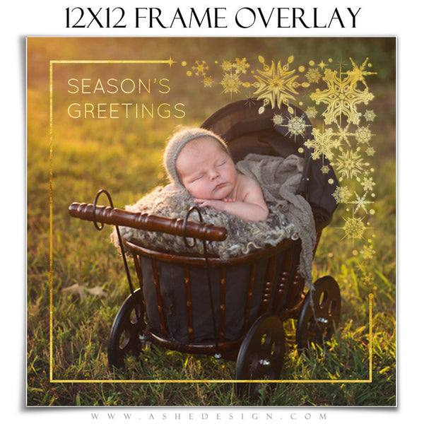 Customizable Designer Gems | Golden Snowflake Frame Overlay 12x12