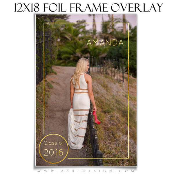 Customizable Designer Gems | Gold Foil Frame Overlay 12x18