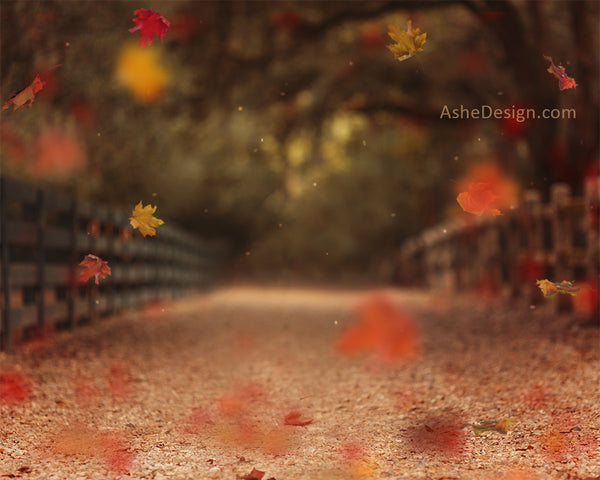 Digital Props 16x20 Backdrop Set - Autumn Lane