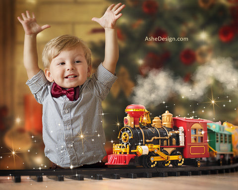 Digital Props 16x20 Backdrop Set - Christmas Train