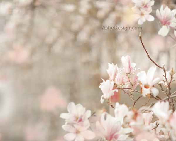 Digital Props 16x20 Backdrop Set - Magnolia Blossoms