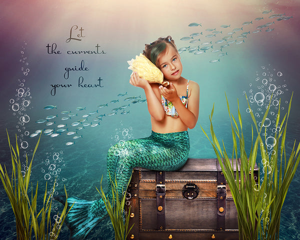 Digital Props 16x20 Backdrop Set - Little Mermaid