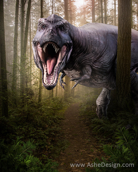 Digital Props 16x20 Backdrop Set - T-Rex Dinosaur