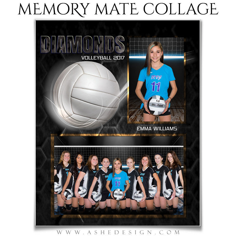 Ashe Design 8x10 Sports Memory Mate Honeycomb Volleyball