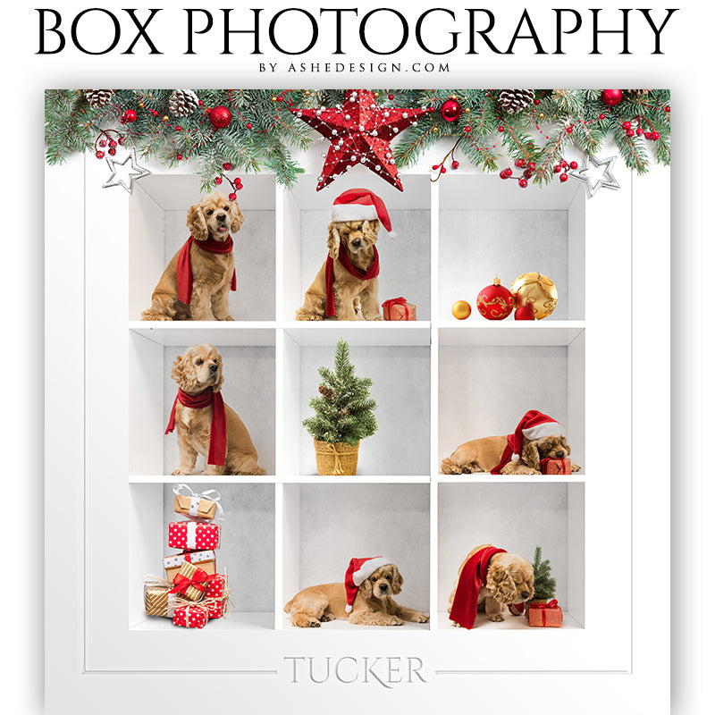 Box Session Photography - Christmas Garland Collage