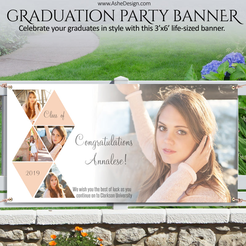 Ashe Design | Photoshop Template | Grad Party Photo Banner | 3'x6' Horizontal | Symmetry