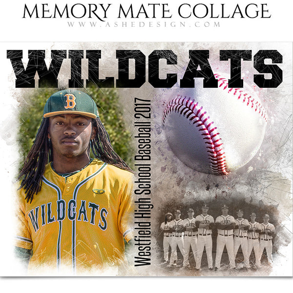 Sports Memory Mates - In The Zone Baseball
