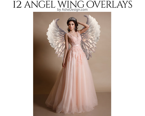 PNG Overlays - Angel Bling Wings