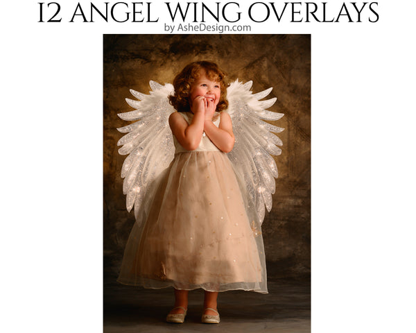 PNG Overlays - Angel Bling Wings
