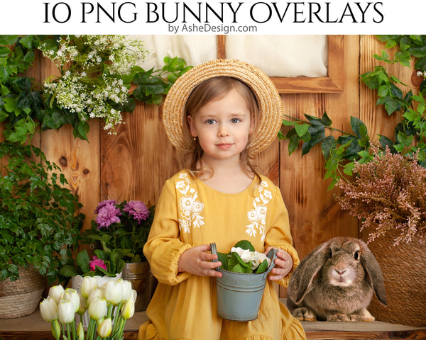 Easter Photography, bunny overlays, easter photoshoot, easter photo props, bunny rabbit, easter overlays, realistic bunny, overlays photoshop, photography overlays, for photoshop, photoshop overlay,
