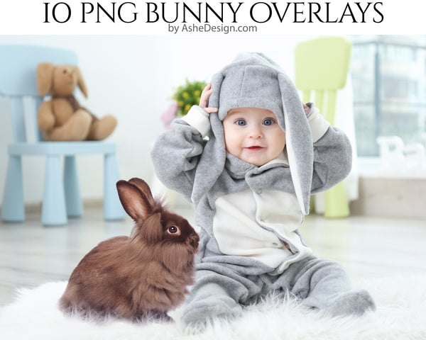 Easter Photography, bunny overlays, easter photoshoot, easter photo props, bunny rabbit, easter overlays, realistic bunny, overlays photoshop, photography overlays, for photoshop, photoshop overlay,