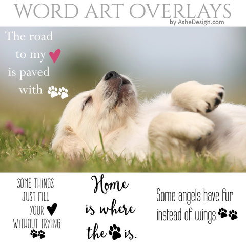 Ashe Design Word Art Overlays - Paw Prints