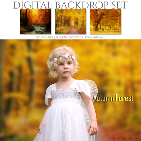 Digital Backdrop Set - Autumn Forest