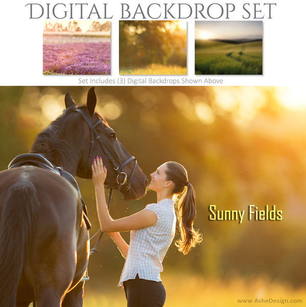 Digital Backdrop Set - Sunny Fields