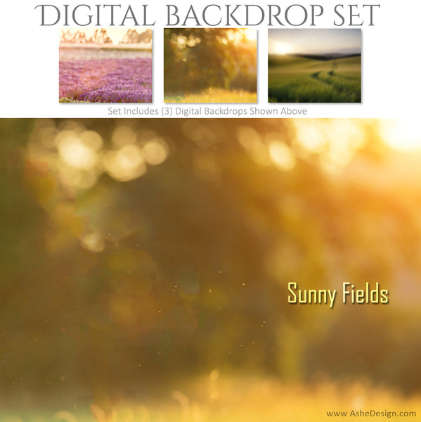 Digital Backdrop Set - Sunny Fields