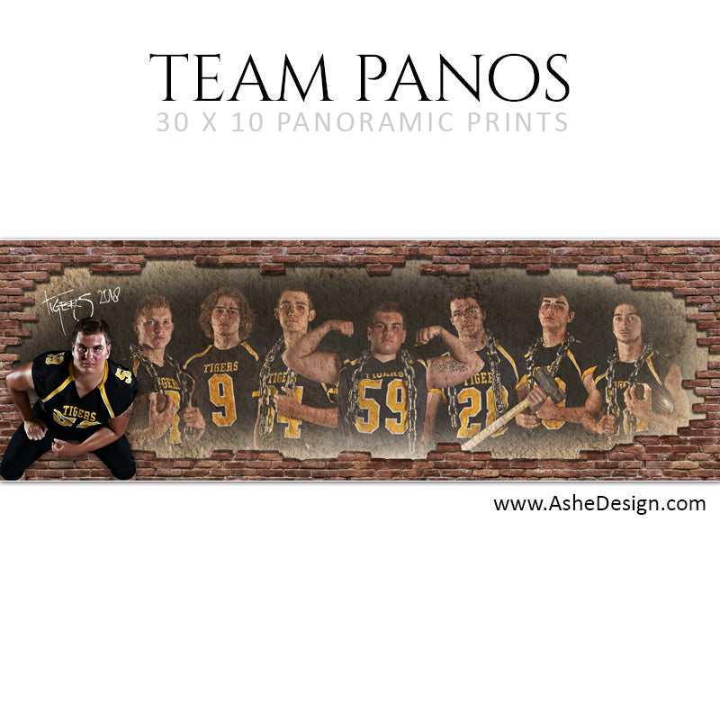 Ashe Design 30x10 Team Pano - Behind The Wall
