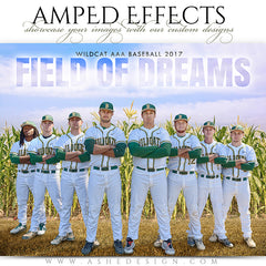 Amped Effects - Field Of Dreams 2 - Baseball Poster Template For Photoshop