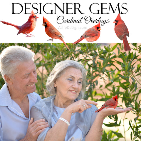 Designer Gems - Cardinal Overlays