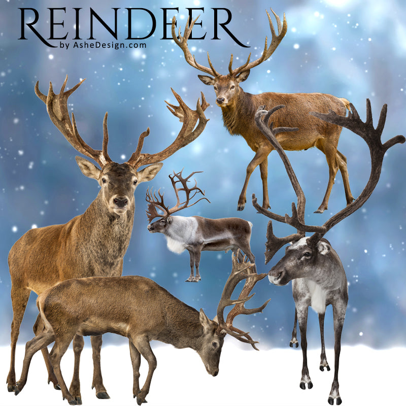 Designer Gems - Reindeer Overlays