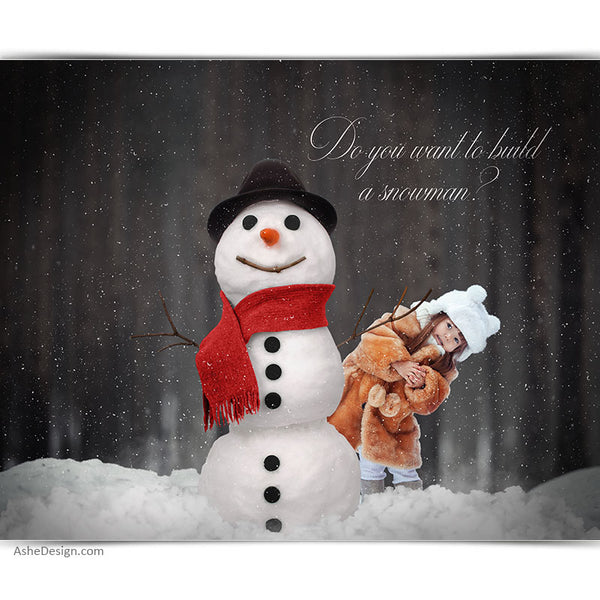 Digital Props 16x20 Backdrop Set - Build A Snowman