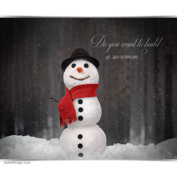 Digital Props 16x20 Backdrop Set - Build A Snowman